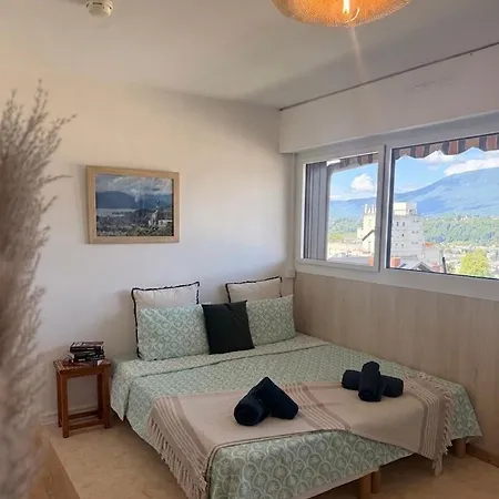 Centre Vue Montagne Parking Proche Thermes Chevalley Appartement